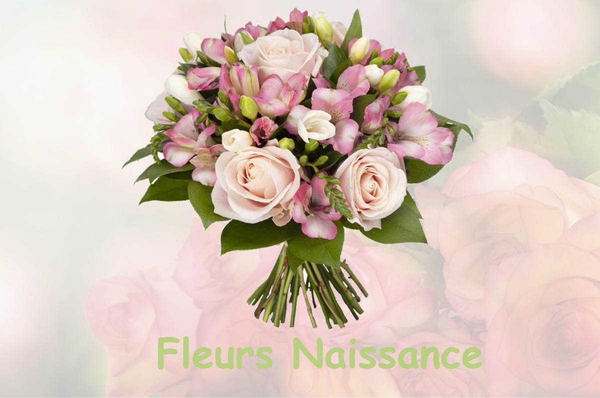 fleurs naissance SAINT-ETIENNE-DE-MAURS